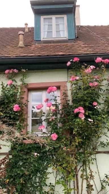 Ferienwohnung In Historischer Muehle Buchen  Luaran gambar