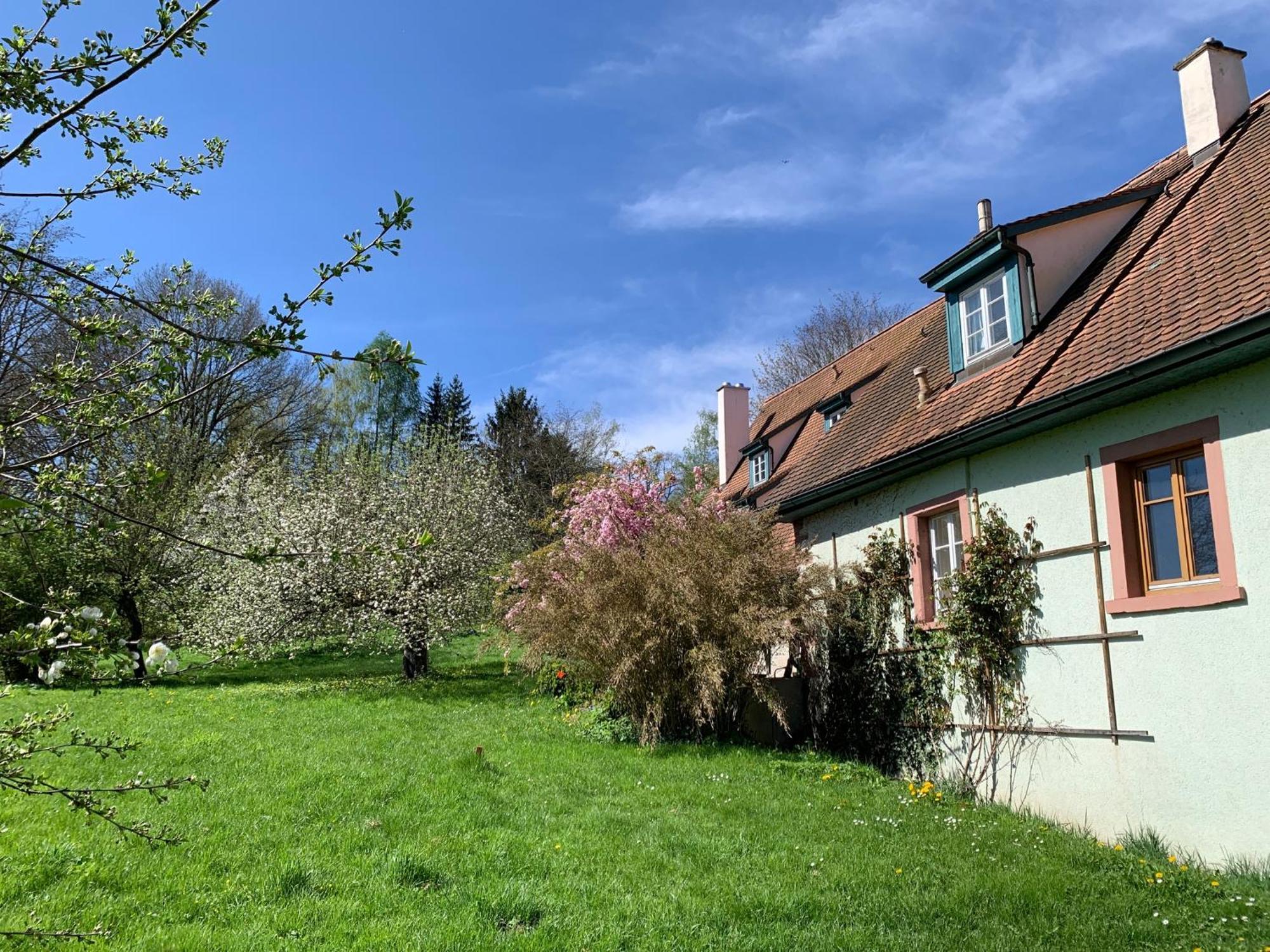 Ferienwohnung In Historischer Muehle Buchen  Luaran gambar